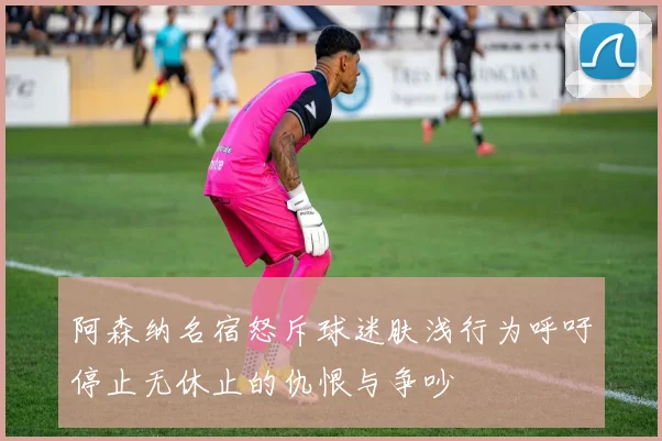 阿森纳名宿怒斥球迷肤浅行为呼吁停止无休止的仇恨与争吵