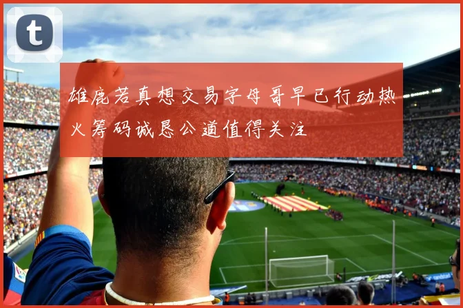 雄鹿若真想交易字母哥早已行动热火筹码诚恳公道值得关注